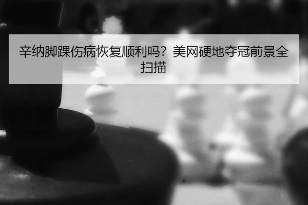 xin-na-jiao-huai-shang-bing-hui-fu-shun-li-ma-mei-wang-ying-di-duo-guan-qian-jing-quan-sao-miao-2-167.jpg