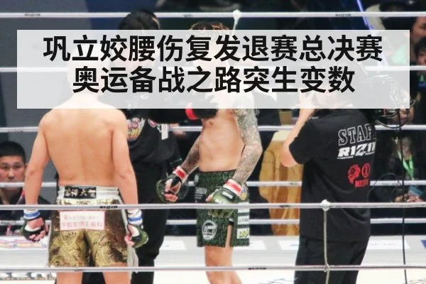 巩立姣腰伤复发退赛总决赛 奥运备战之路突生变数