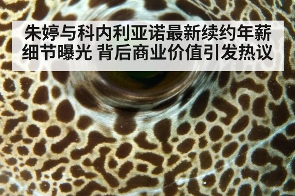 朱婷与科内利亚诺最新续约年薪细节曝光 背后商业价值引发热议