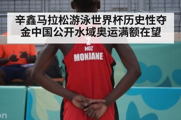 辛鑫马拉松游泳世界杯历史性夺金中国公开水域奥运满额在望